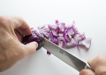 cebollas