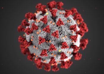 virus