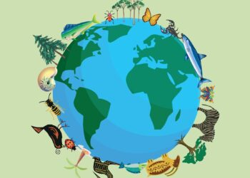 cambio climático