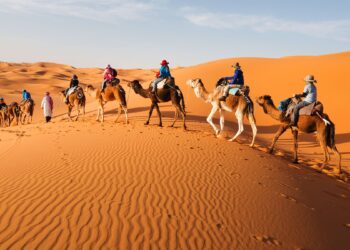 sahara