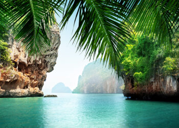 Mar tropical