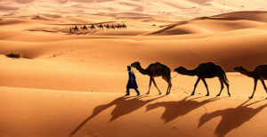 Los mejores destinos en el Sahara, recomendaciones de viaje