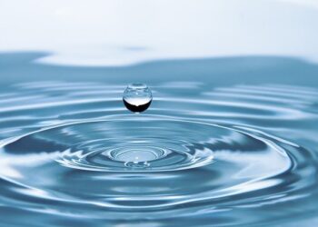 beber agua es importante