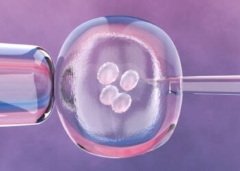 fecundación in vitro