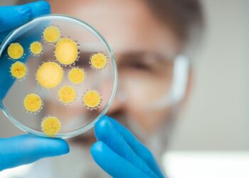 las bacterias