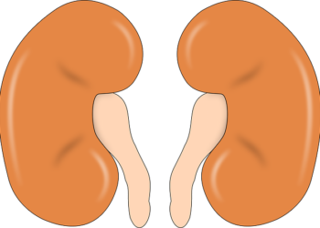 Cuando un cálculo renal puede convertirse en un gran problema