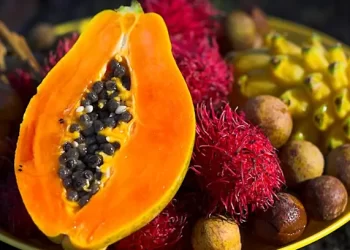 ¿Qué frutas hay en España?