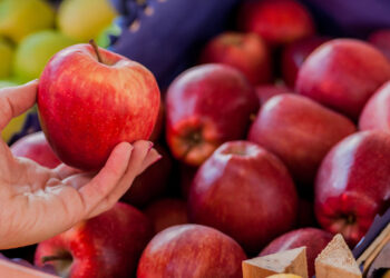 ¿Cuál es la fruta de la vida?