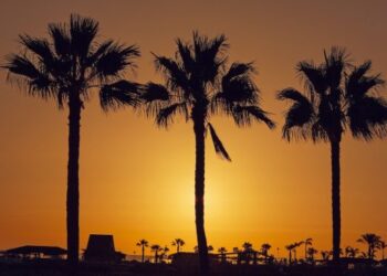 ¿Cuál es el mejor mes para ir a Canarias?