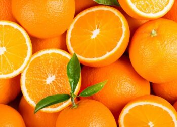 tipos de naranja