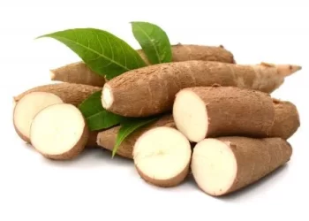yuca