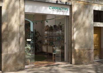 ¿Qué es el CBD y dónde se compra?
