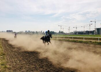 Un vistazo a los tipos de apuestas deportivas en los que puedes participar