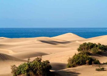 el Paraíso de Las Dunas de Maspalomas