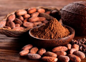 Los beneficios del cacao para mejorar el estado de ánimo