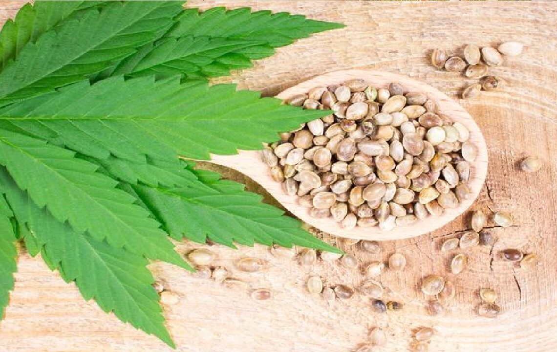 semillas-de-cannabis