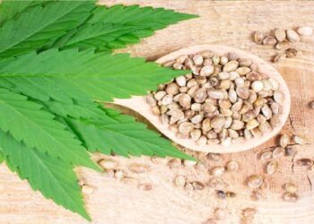semillas-de-cannabis