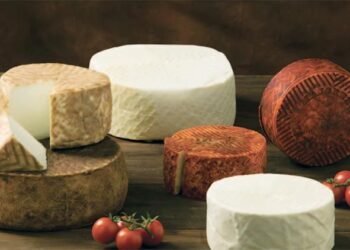 Descubre la Ruta de los Quesos Canarios: Un paraíso para los amantes del queso