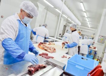 industria carnica