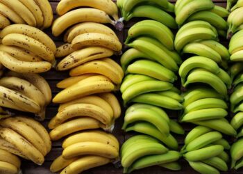 plátano