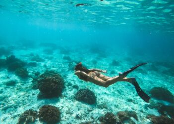 Descubriendo las maravillas submarinas de las Islas Canarias