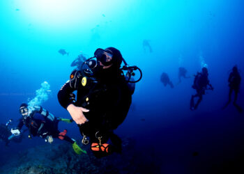 Explorando las profundidades: razones para probar el buceo nocturno