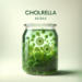 Beneficios y Propiedades de la Alga Chlorella: Tu Superfood Natural