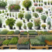 plantas de home depot