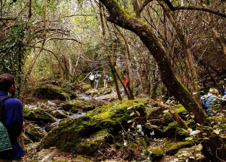 Descubre Ezcaray en otoño con las Jornadas Micológicas y una estancia cómoda